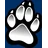 Wolf Spins logo